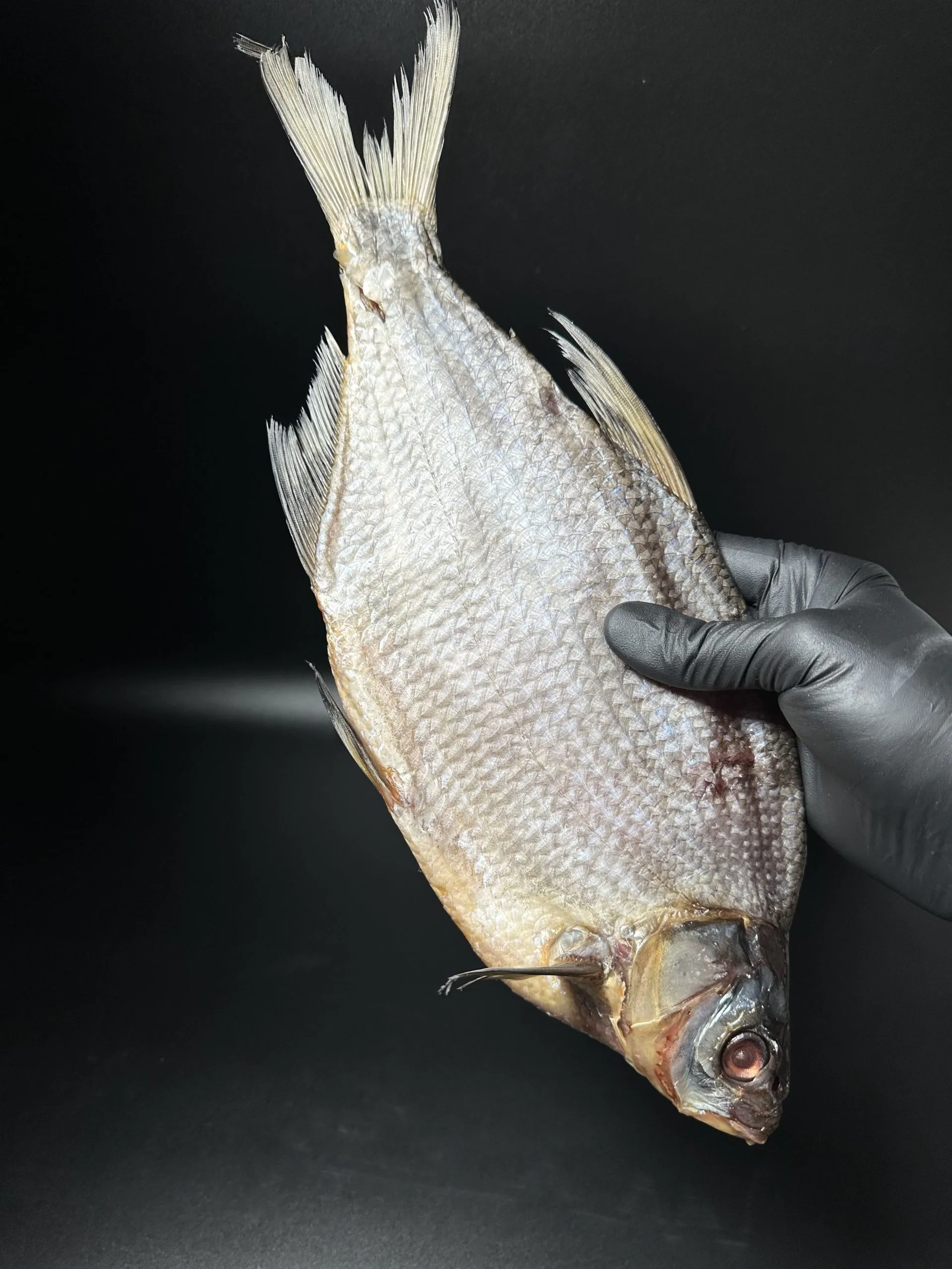 Medium caviar dried bream - Image 3