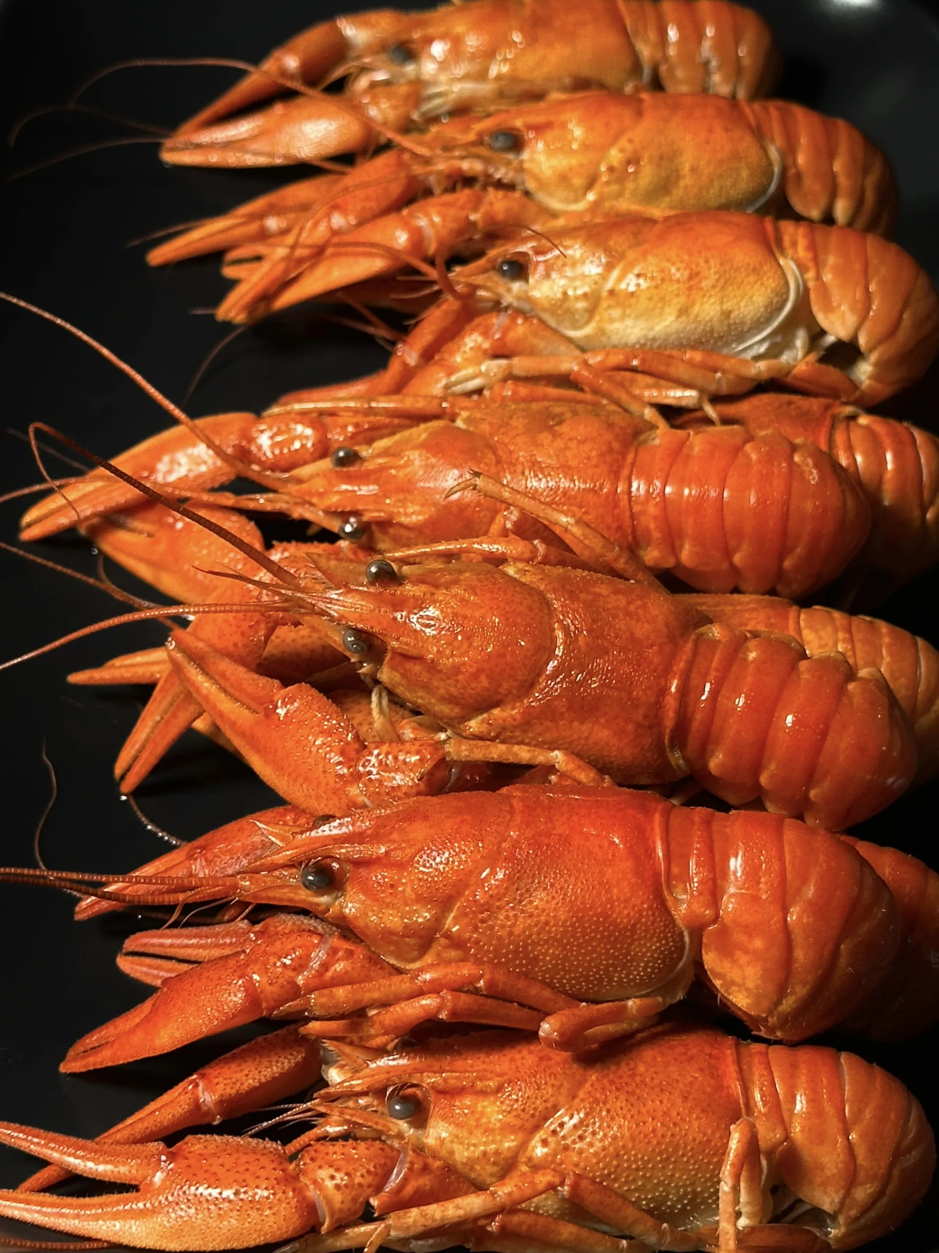 Boiled Crayfish frozen in brine (using SU-VID technology) 800g - Image 3