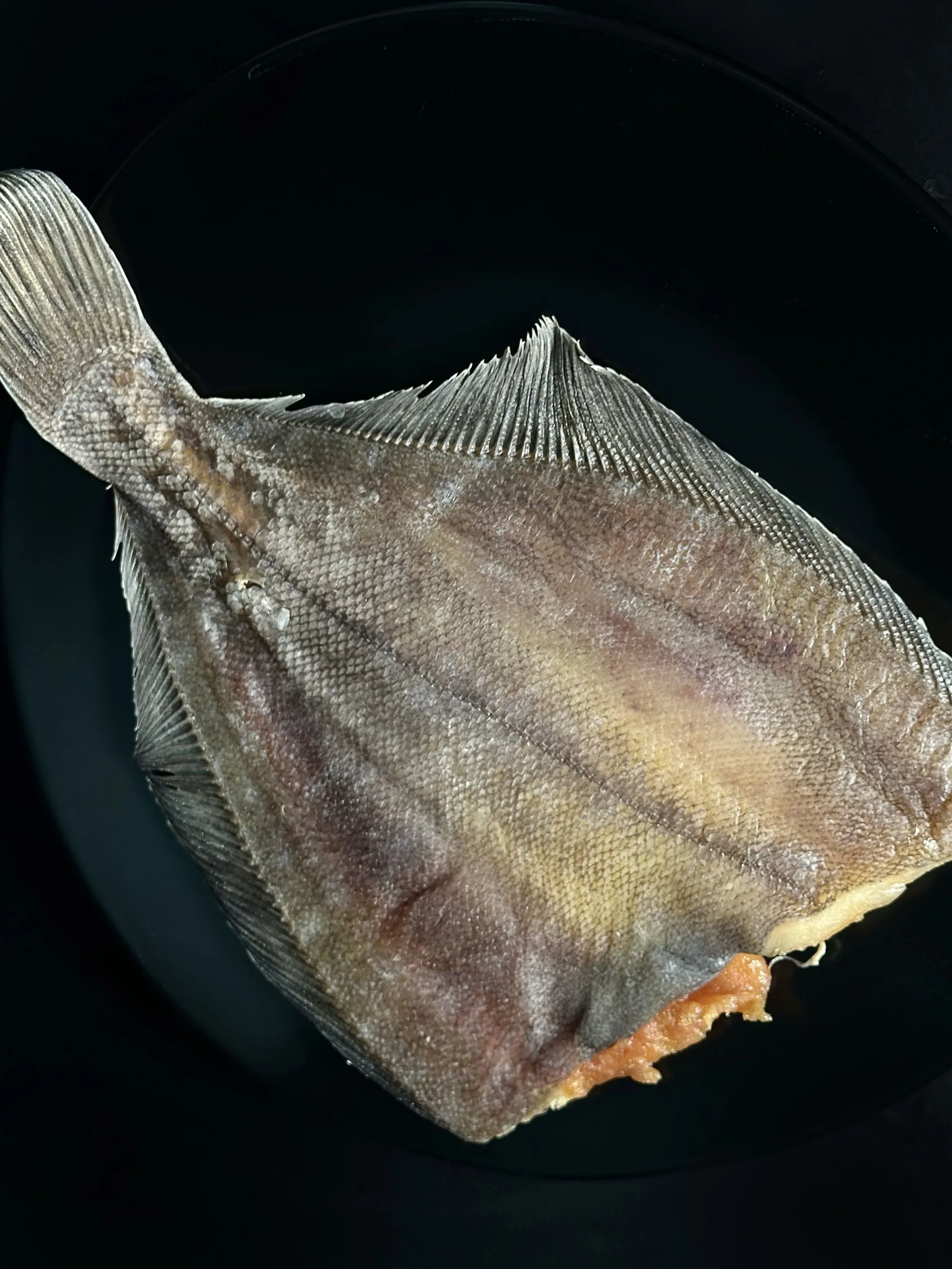 Flounder dried with caviar - Image 4