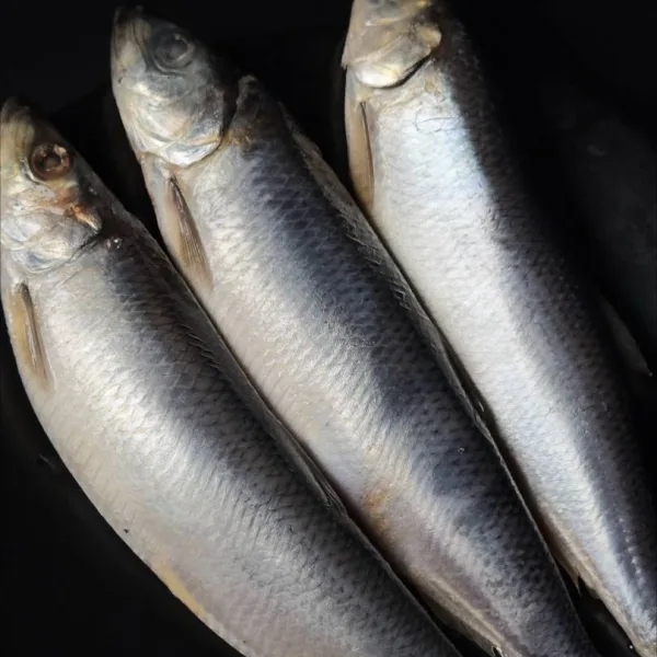 Lightly salted herring 1 kg