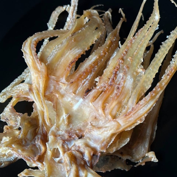 Dried Octopus