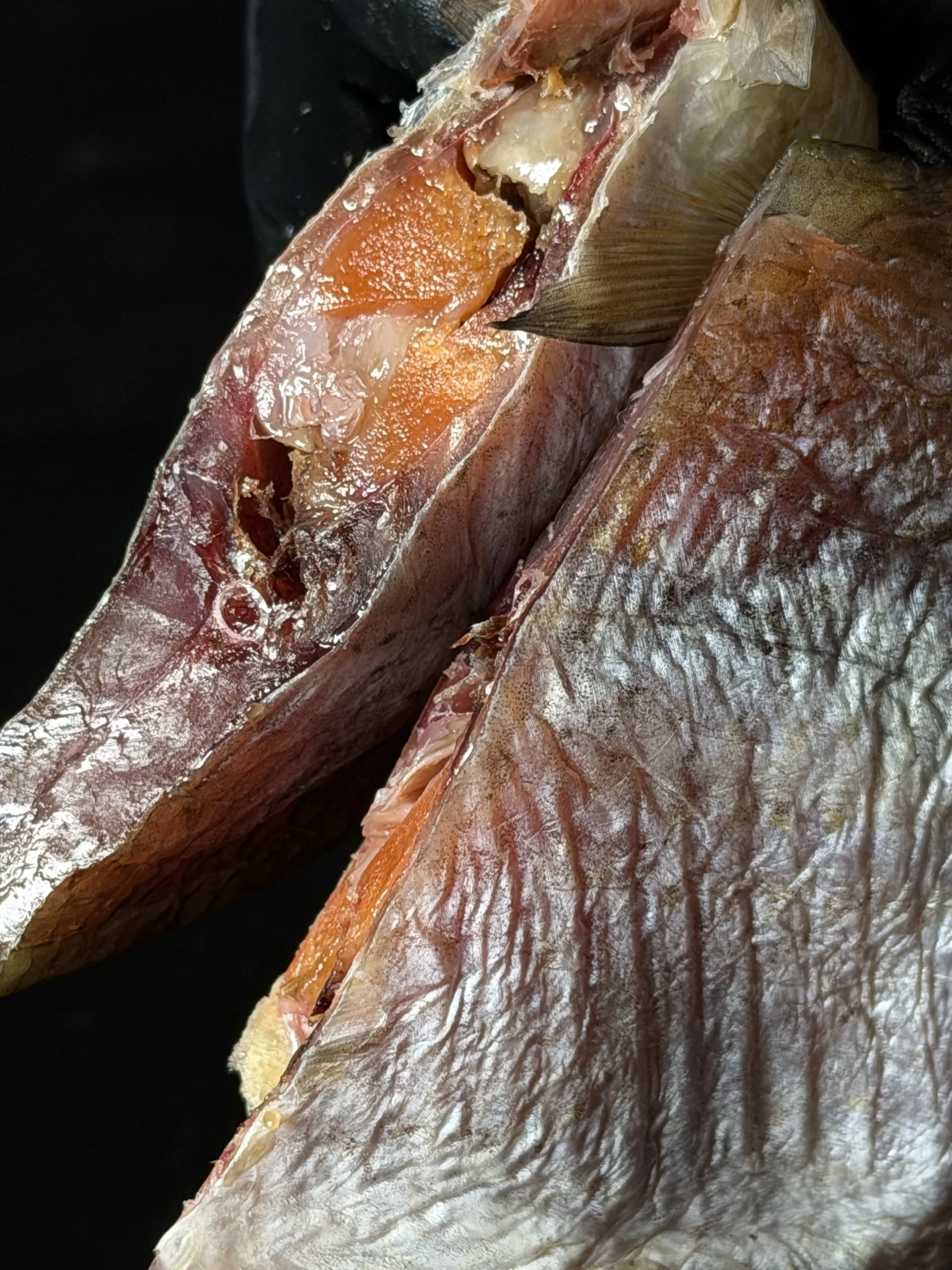 Dried silver bream (70% roe filled) - Image 2