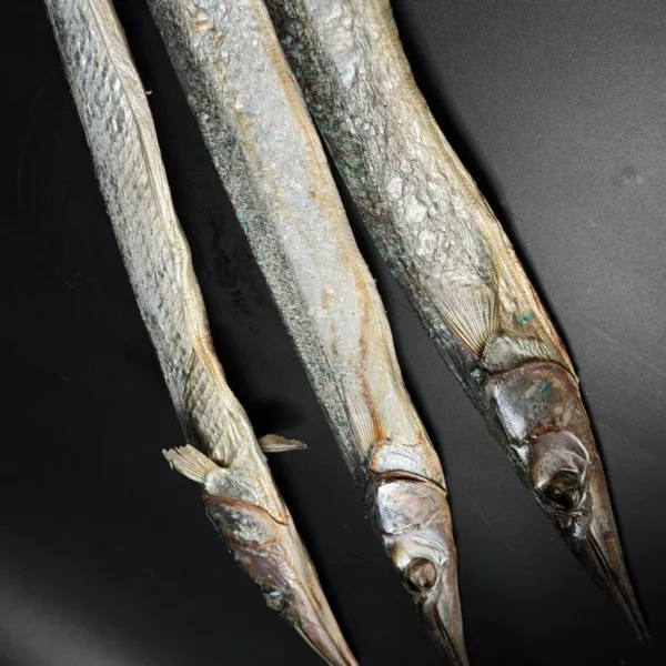 Dried Garfish